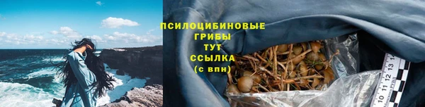 apvp Арсеньев