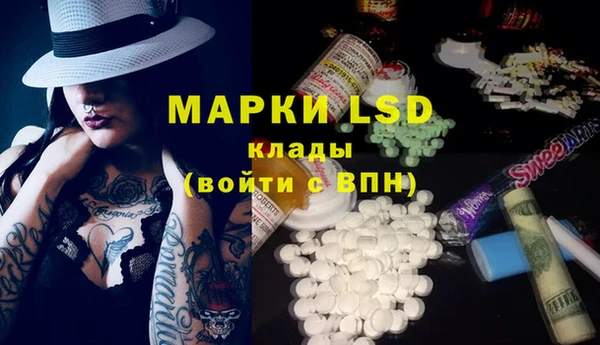 спайс Аркадак